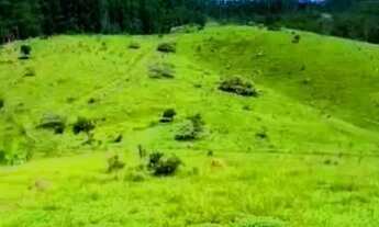 Imagem 2: Conheça o mais novo lançamento da nossa incorporadora! Oferecemos lotes à beira da água em