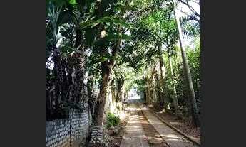 Imagem 2: Chacara de 5mil m² com rica área verde de mata atlântica