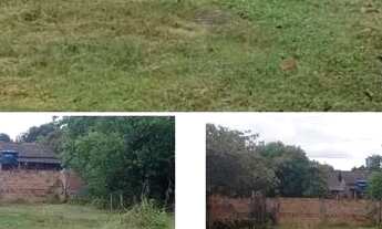 Imagem: Terreno em Monte Alegre