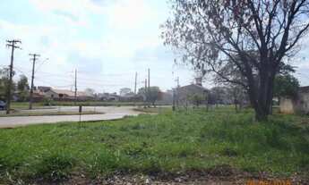 Imagem: Terreno Padrão em São José do Rio Preto