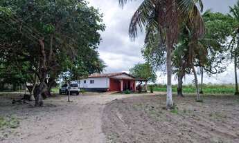 Imagem 3: Sítio com casa em Macaiba-RN