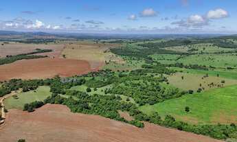 Imagem 7: Fazenda em pontalina-go