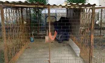 Imagem 4: Apartamento com 2 dormitórios para alugar, 40 m² por R$ 780,00/mês - Parque Albano - Cauca