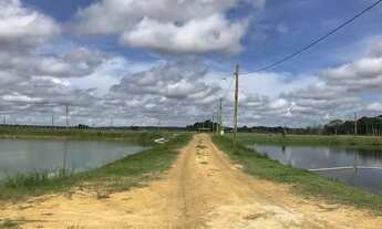 Imagem 5: Vendo Fazenda com 246 Hectares em Itacoatiara/ Pronta Para Diversas Atividades