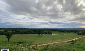 Imagem: Fazenda à Venda em Piranhas (GO) 79 Alqueires