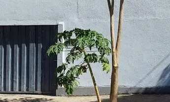 Imagem: Alugo kitnet no Capuava r$ 700.00. 00 próximo