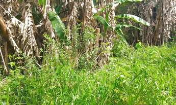 Imagem 2: 4 mil mts quadrados a 1200 mts da rodovia