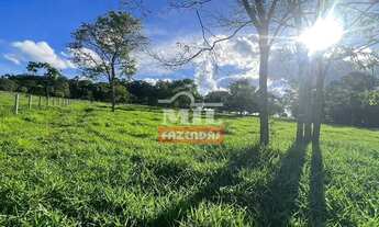 Imagem 3: Chácara 2 alqueires (9,68 hectares) Avelinópolis - Go