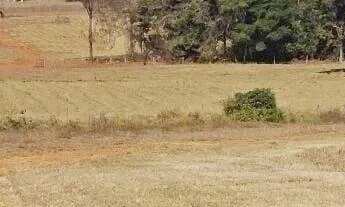 Imagem 2: Excelente fazenda dupla aptidão com 517 hectares e ótimas estruturas à venda em Paracatu