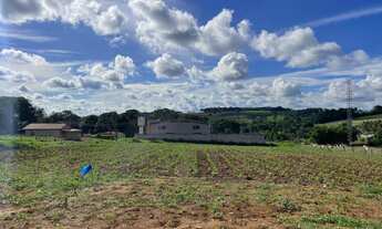 Imagem: Oportunidade Única de Investimento - 1.800