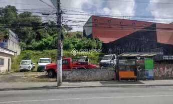 Imagem 7: TERRENO A VENDA MARIA SERVIDEI DEMARCHI/ SBC