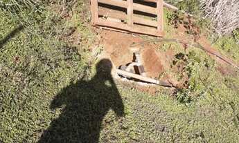 Imagem 4: Vende se está chácara