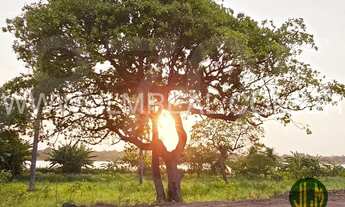 Imagem: TERRENO PARA VENDA NO LOTEAMENTO LAGO MONTENEGRO