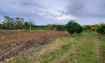 Imagem: TERRENO - Terreno sem benfeitorias, na Travessa