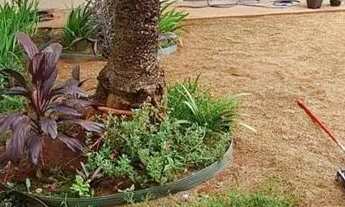 Imagem 3: Casa para Aluguel Residencial Maria Júlia (Conjunto Vera Cruz