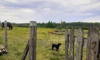 Imagem 4: Sítio no bairro Corredor dos Farias em Hulha Negra!
