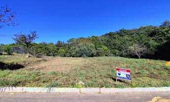 Imagem: Terreno plano regularizado e vista pra reserva