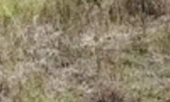 Imagem 3: PRÓXIMO UPA DO NÚCLEO BANDEIRANTE. LOTE ESQUINA NO KANEGAY