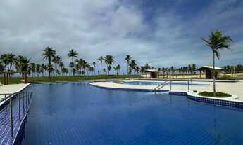 Imagem 2: Lote mares Maluy