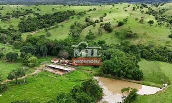 Imagem 5: Fazenda 360 alqueires (1.742 hectares ) Catalao - GO