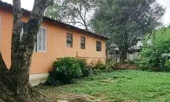 Imagem 6: Velleda oferece Magnífico sítio 10 hectares a 600 metros do asfalto em Morro Grande