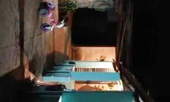 Imagem 3: Vende-se casa Localizada bairro nossa senhora da abadia * Terreno 12 metros e 63 cen