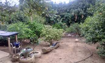 Imagem 2: Vendo chácara Chácara com venda por R$190.000