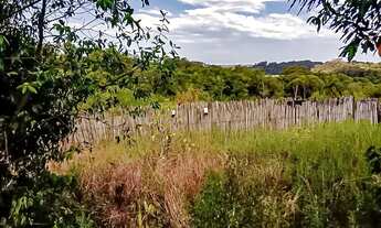 Imagem 6: Propriedade com 20Ha com 4,5Ha com pessegueiros e casa centenária na Cascata