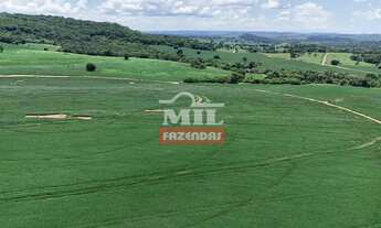 Imagem 4: Fazenda 68,8 alqueires (333 hectares) Morrinhos - Go