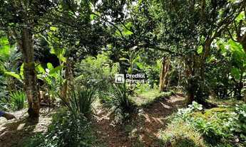 Imagem 5: Terreno à venda, 650 m² por R$ 320.000,00 - São Pedro da Serra - Nova Friburgo/RJ