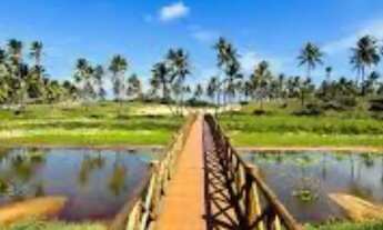 Imagem 5: Terreno à venda no Sunset Beach pé na areia - Lote 127