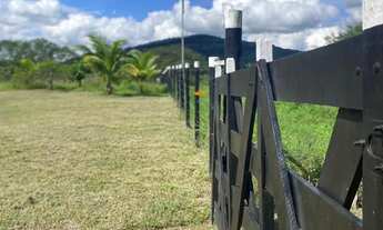 Imagem 2: Excelente sítio de 3 tarefas com casa de 4/4 e arvores frutíferas diversas próxima a BA