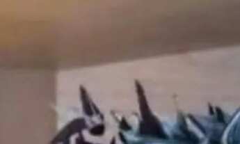 Imagem 6: Aluguel de Apartamento Impecável no Paraíso, São Paulo-SP: 1 Quarto, 1 Suíte, 1 Sala, 1 Ba