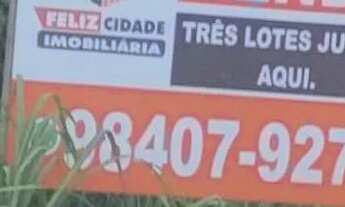 Imagem: Lotes residências na Quadra 1007 Sul (ARSO