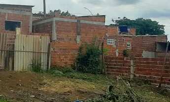 Imagem 4: Vendo / troco Lote samambaia