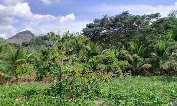 Imagem 7: Sítio em Joaquim Gomes