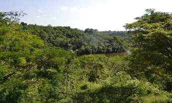Imagem 3: Sorocaba Prox. Castelinho 6 Hectares