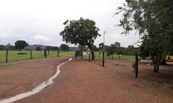 Imagem 6: Fazenda em Padre Bernardo