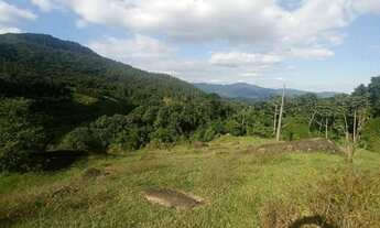 Imagem 2: Terreno para sítio em Timbó