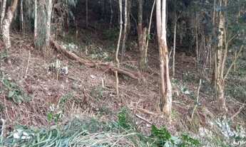 Imagem 3: Lote/Terreno para venda possui 990 metros quadrados em Panorama - Teresópolis - Rio de Jan