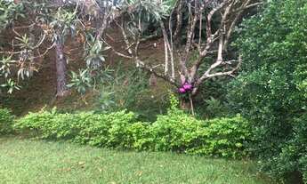 Imagem 2: OPORTUNIDADE!!! Casa de condomínio para aluguel e venda possui 350 metros quadrados com 3