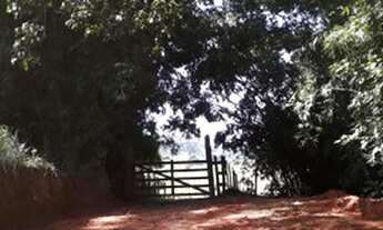 Imagem: Vendo Sítio na Estrada de Piacatuba/Leopoldina