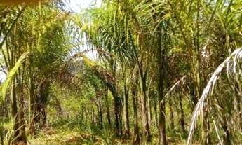 Imagem 4: Chacara-para-Venda-em-Morro-das-Pedras-Valinhos-SP