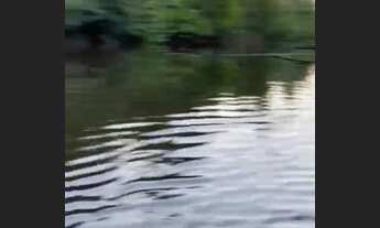 Imagem 2: Vende se terra cel