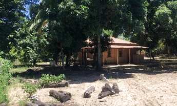 Imagem: Sitio no mosqueiro próximo a orla por do