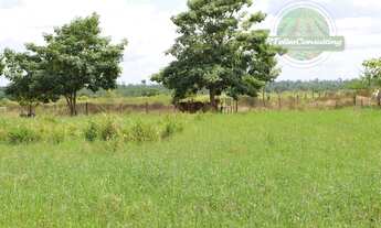 Imagem 6: Fazenda à venda no bairro Centro - 2100 ha Goianésia do Pará/PA