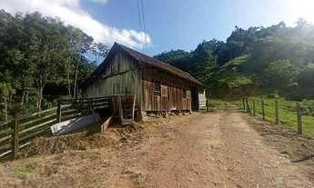 Imagem 7: Terreno para sítio em Timbó