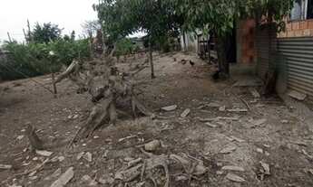 Imagem 2: TERRENO PARA INVESTIMENTO NO SUL DO RIO EM TIJUCAS-SC