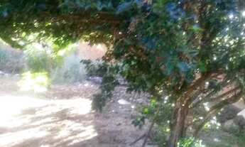 Imagem 3: Casa em Demerval Lobão