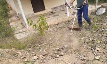 Imagem 5: Sítio em bananeiras